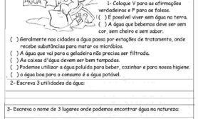 AVALIAÇÃO DE CIÊNCIAS - 3º ANO - Atividades Pedagógicas