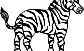 Desenho de zebras para colorir