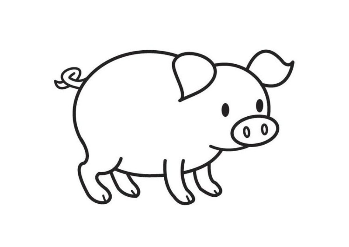 Desenhos de porco para colorir Atividades Educativas