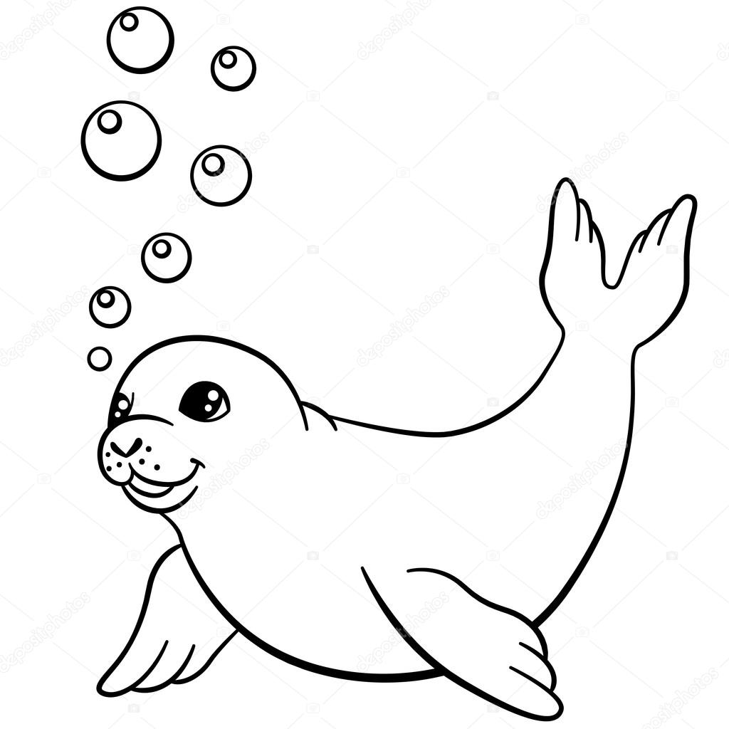 Desenhos de foca para colorir Atividades Educativas