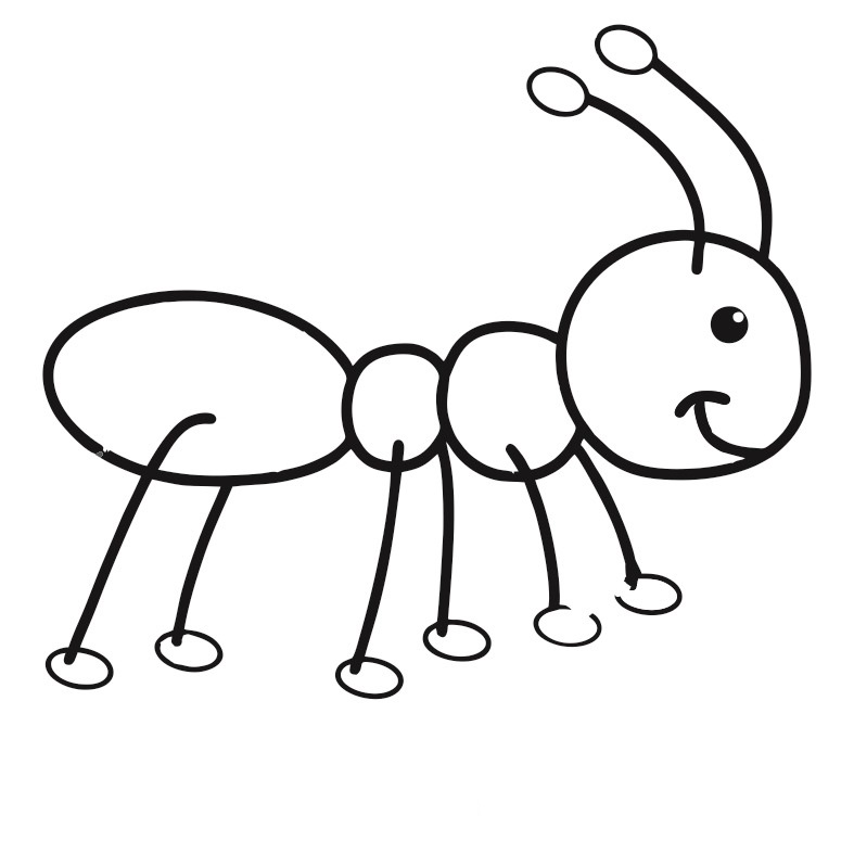 Desenhos de formiga para colorir Atividades Educativas
